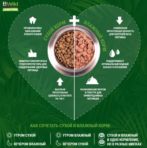 Паштет для кошек Monge Cat BWild Grain Free Anchovies (анчоус, овощи) (100 гр.)