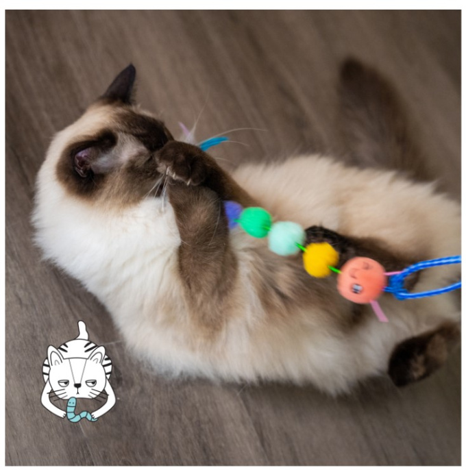 Игрушка для кошек Catstages Гусеничка дразнилка с кошачьей мятой (44,5 см)