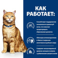 Сухой корм для кошек Hill's Prescription Diet c/d Multicare Urinary Care (курица) (1.5 кг)