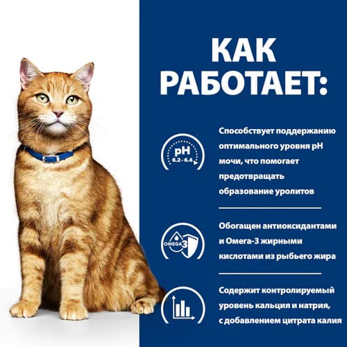 Сухой корм для кошек Hill's Prescription Diet c/d Multicare Urinary Care (курица) (1.5 кг)