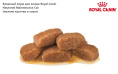Влажный корм для кошек Royal Canin Neutered Maintenance Cat (мелкие кусочки в соусе) (85 гр*12 шт)