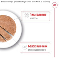 Влажный корм для собак Royal Canin Maxi Adult (в паштете) (410 гр.)