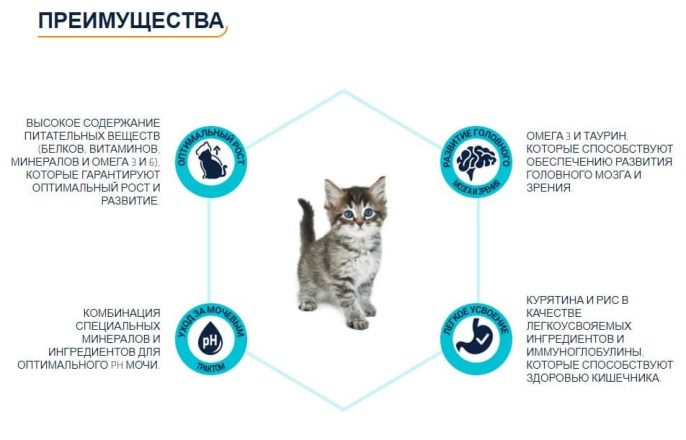 Сухой корм для котят Advance Kitten (2-12 месяцев) (10 кг)