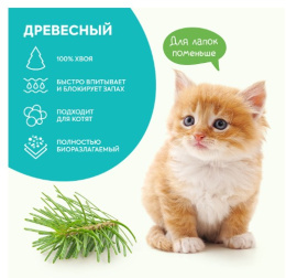 Снимок экрана 2026-03-03 211338