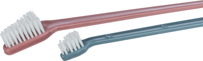 Набор зубных щеток для собак TRIXIE 23 см, 4 шт