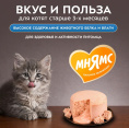 Снимок экрана 2026-08-13 221756