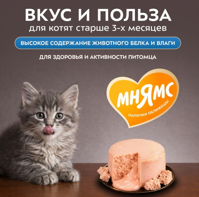 Снимок экрана 2026-08-13 221756