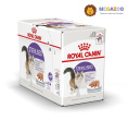 Паштет для кошек Royal Canin STERILIZED LOAF (12х85 гр.)