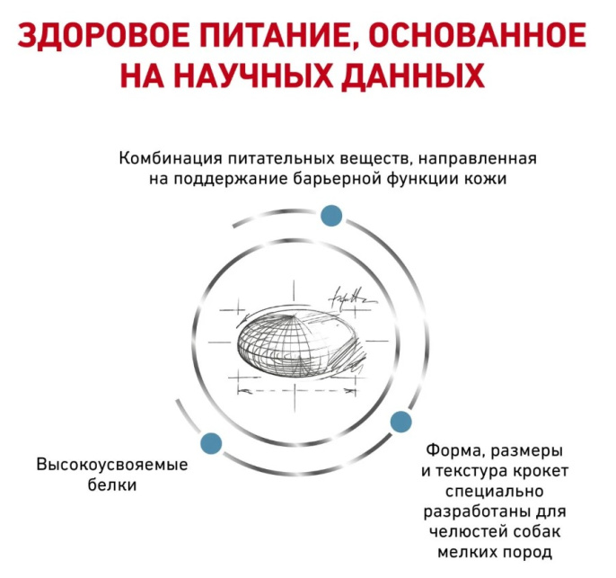 Сухой корм для собак Royal Canin Skin Care Small Dog (2 кг)