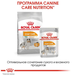 Сухой корм для собак Royal Canin Mini Coat Care