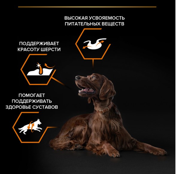 Сухой корм для собак крупных пород Pro Plan EVERYDAY NUTRITION Large Athletic Adult (курица) (14 кг)