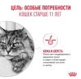 Влажный корм для пожилых кошек Royal Canin Ageing 11+ (кусочки в желе) (85гр.х12 шт)