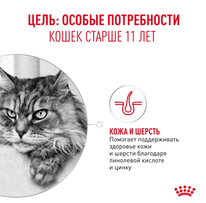Влажный корм для пожилых кошек Royal Canin Ageing 11+ (кусочки в желе) (85гр.х12 шт)
