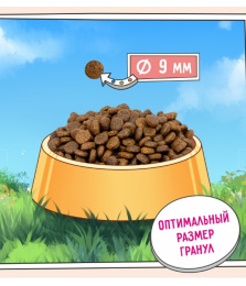 Сухой корм для кошек ZILLII Indoor Adult Cat (индейка, ягненок)