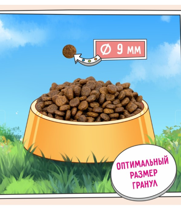 Сухой корм для кошек ZILLII Sensitive Digestion Adult Cat (индейка) (400 гр)