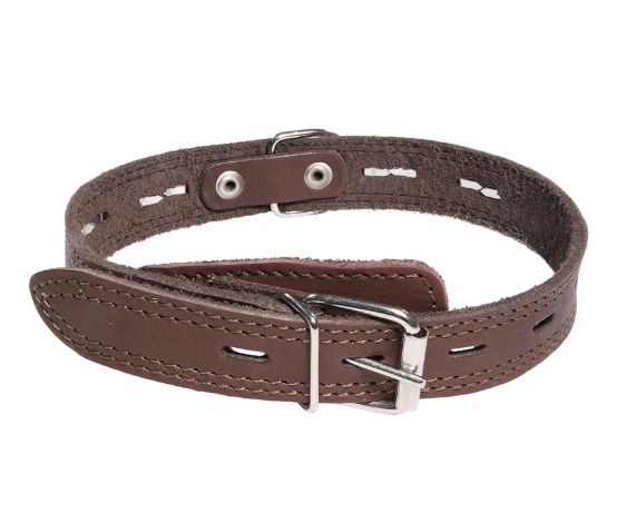 Ошейник кожаный c кольцом и украшением Gamma (58 х 2.5 см)