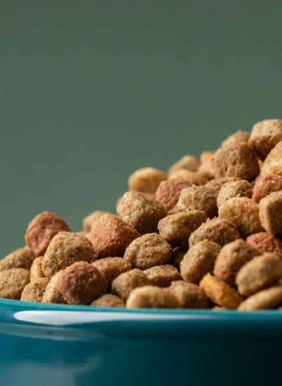 Рейтинг кормов для кошек 2025