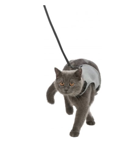 Набор для кошек шлея мягкая "TRIXIE" (28-42см + поводок 1,2м)