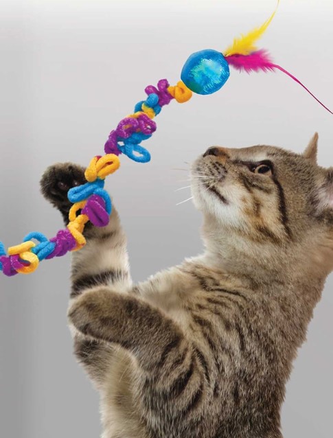 KONG Игрушка для кошек Teaser Loopz (150 см)