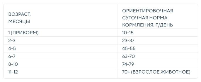 Сухой корм для котят DEZZIE Kitten (курица, индейка) (400 гр)