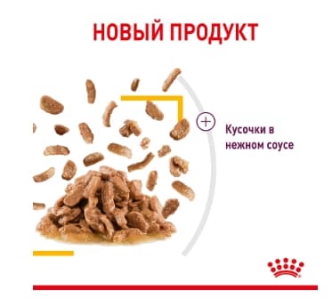Влажный корм для кошек Royal Canin Sensory Taste (соус) (85 гр*12 шт)