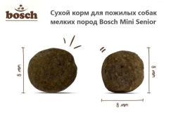 Bosch Mini Senior-2