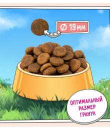 Сухой корм для собак крупных пород ZILLII Large Adult Dog (индейка, ягненок)