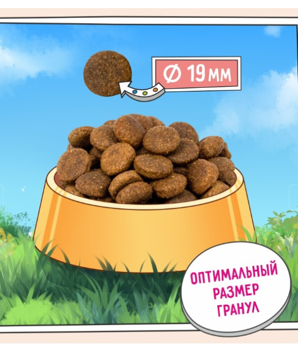 Сухой корм для собак крупных пород ZILLII Large Adult Dog (индейка, ягненок) (3 кг)