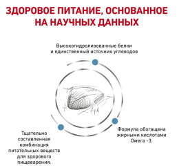 Сухой корм для кошек Royal Canin Hypoallergenic Cat