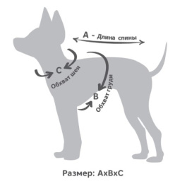 Triol Толстовка для собак Медвежонок (цвет молочный)