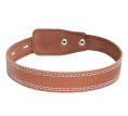 Ошейник кожаный одинарный Gamma  (58 х 2.5 см)