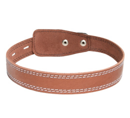 Ошейник кожаный одинарный Gamma 