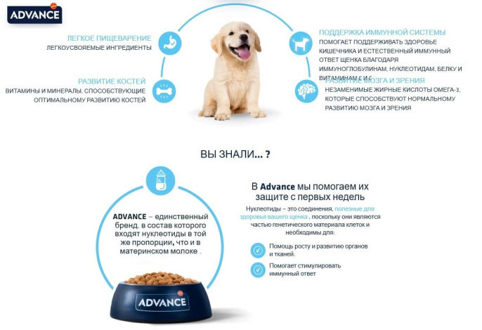 Сухой корм для щенков крупных пород Advance Dog Puppy Maxi (курица) (12 кг)