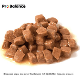 Влажный корм для котят ProBalance 1'st Diet Kitten (кролик в желе)