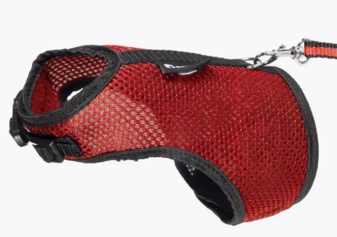 Gamma Комплект для морской свинки шлейка и поводок Шустрик (330х230 мм)