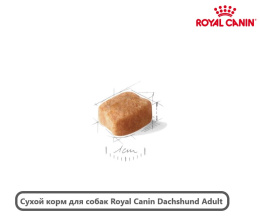 Сухой корм для собак Royal Canin Dachshund Adult