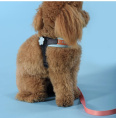 Шлейка для собак United Pets Complete me голубая с оранжевым (1,5 x 34-42 см)