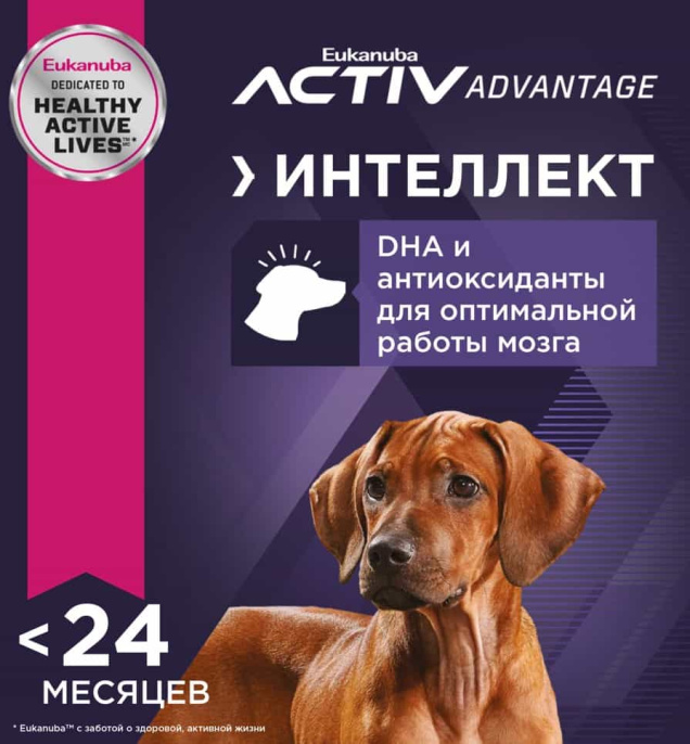 Сухой корм для щенков Eukanuba Puppy Large Breed (птица) (15 кг)