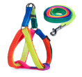 Triol Набор шлейка и поводок, разноцветные (уп 6 шт) (31-46 см)
