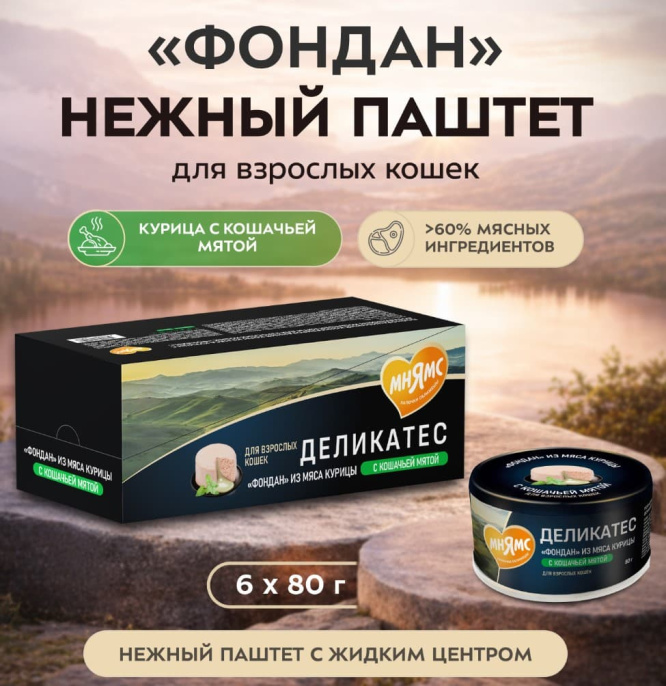 Снимок экрана 2026-08-13 223015