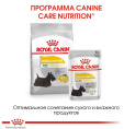 Сухой корм для собак Royal Canin Mini Dermacomfort (1 кг)