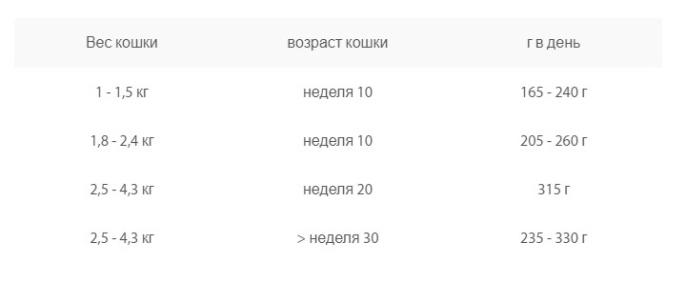 Влажный корм для котят Animonda Vom Feinsten Kitten (ягненок) (100 гр.)