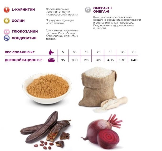 Сухой корм для собак Necon Delicious Senior & Light (свинина, рис) (3 кг)