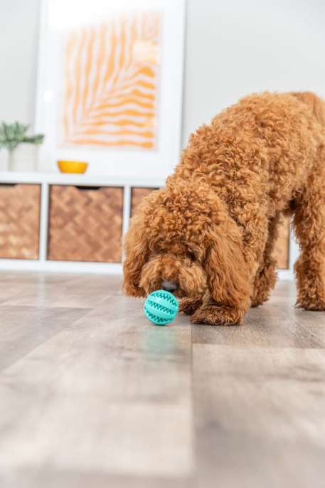 Игрушка для собак со вкусом мяты TRIXIE DENTAfun Ball (5 см)