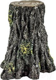 29036