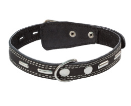 Ошейник кожаный c кольцом и украшением Gamma