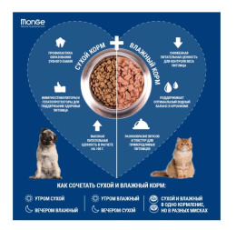 Сухой корм для кошек Monge Cat Indoor (курица)