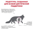 Сухой корм для кошек Royal Canin Mobility (0,4 кг)