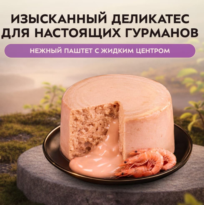 Снимок экрана 2026-08-13 223929