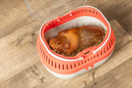 Переноска для грызунов TRIXIE Traveller Pico